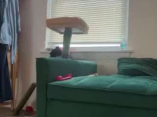 Live webcam model itstaylorofficial on Soda Cams