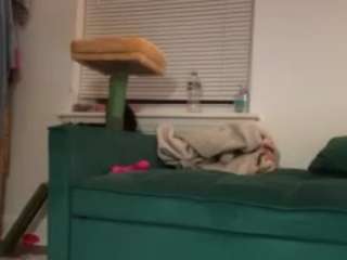 itstaylorofficial webcam