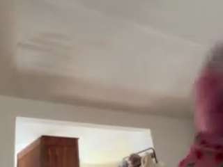 itstaylorofficial webcam