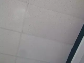 itstaylorofficial's Live Sex Cam Show
