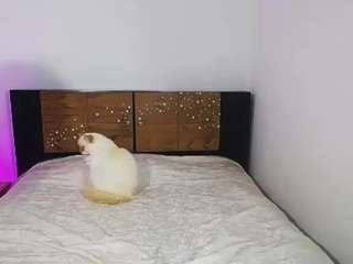 emerald00 - Cam en Direct