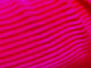 monalisag webcam model