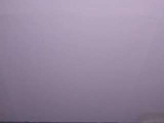 valerynova