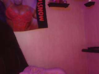 partytriplex webcam