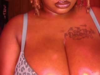 partytriplex webcam