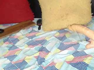 camilastar-89