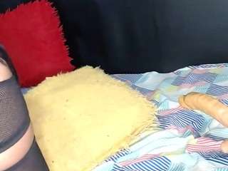 camilastar-89
