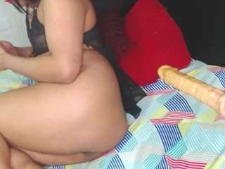 camilastar-89