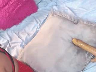 camilastar-89