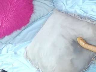 camilastar-89