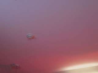 jennifer-rodriguez webcam