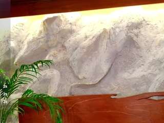 miajhonnson