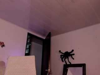sofigray webcam
