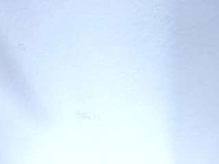 miss-kattyy