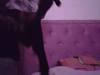  annarose19 chat room