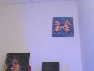 reichell-schmit webcam