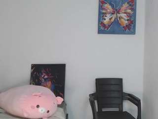 reichell-schmit webcam