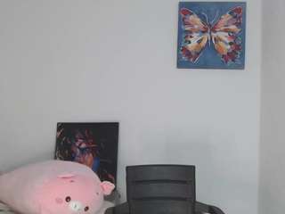 reichell-schmit webcam