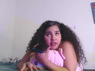 reichell-schmit webcam