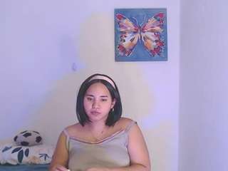 reichell-schmit webcam