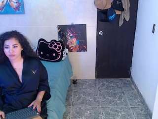 reichell-schmit webcam