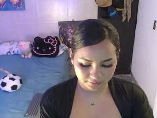 reichell-schmit webcam