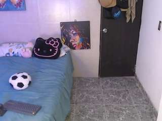 reichell-schmit webcam