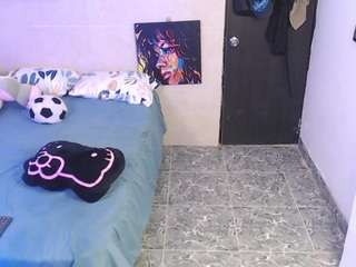 reichell-schmit webcam