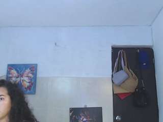 reichell-schmit live cam profile