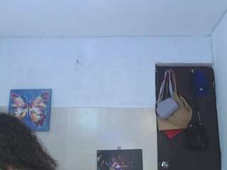 reichell-schmit live cam profile