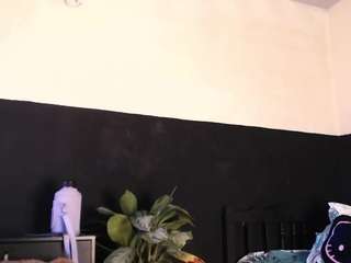 reichell-schmit live webcam show