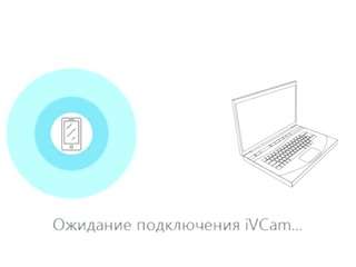 leksywest
