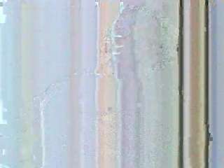 cutyleila webcam model