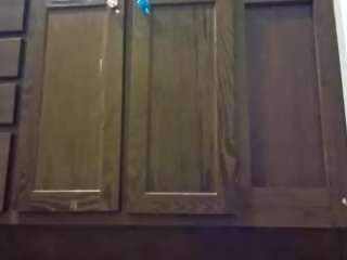 kgoddess webcam model