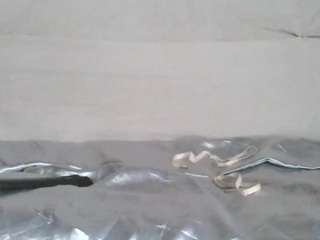 sweet-boo Live Webcam on CamSoda