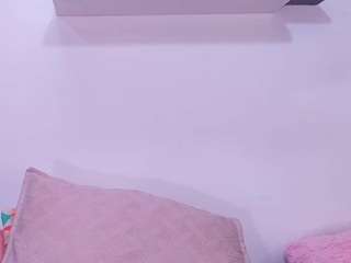 bss-naia webcam model