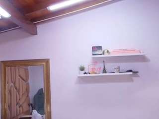 bss-naia webcam model