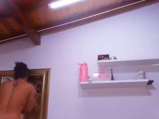 bss-naia webcam