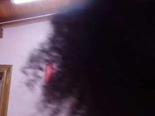 bss-naia webcam model