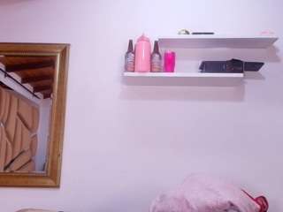 bss-naia webcam model