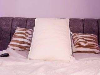 bss-naia webcam model