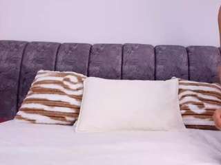 bss-naia webcam model