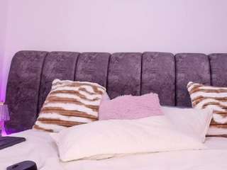 bss-naia webcam model