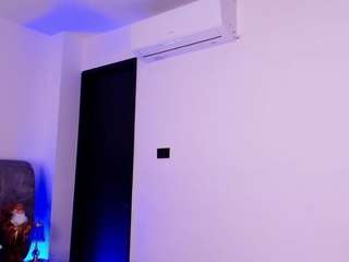 bss-naia webcam model