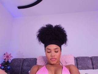 bss-naia webcam model