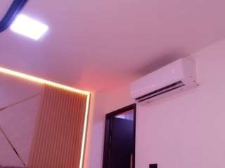 bss-naia webcam model