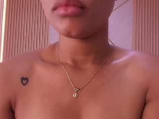 bss-naia webcam model