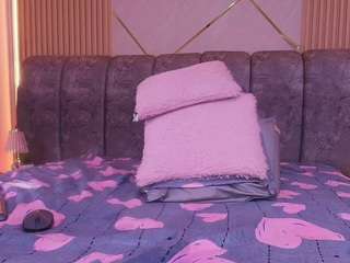 bss-naia
