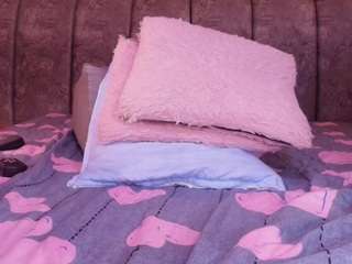 bss-naia