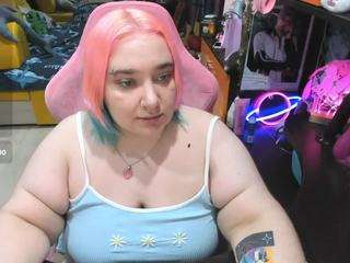 softie-sofy webcam